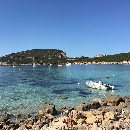 הוילה אלגהרו Il Giardino Su Capo Caccia מראה חיצוני תמונה