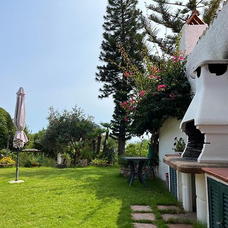 הוילה אלגהרו Il Giardino Su Capo Caccia מראה חיצוני תמונה